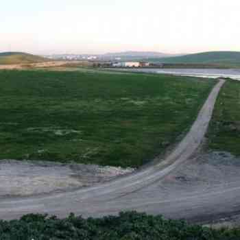 Click para ampliar. Pulsa en el nombre para ver la ficha. Jerez de la Frontera 2: Canal de Guadabajaque